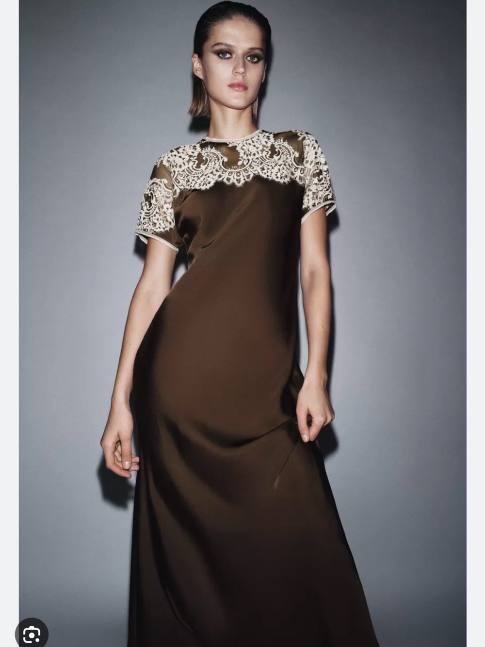 Zara NWT Collection Brown cream Satin Lace Women's dress size small